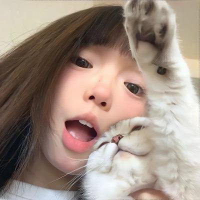 大笨蛋
